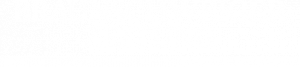 Logo Braunschweiger Zeitung