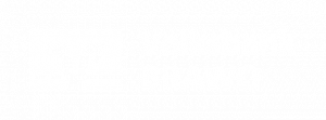 Logo Volksbank BRAWO